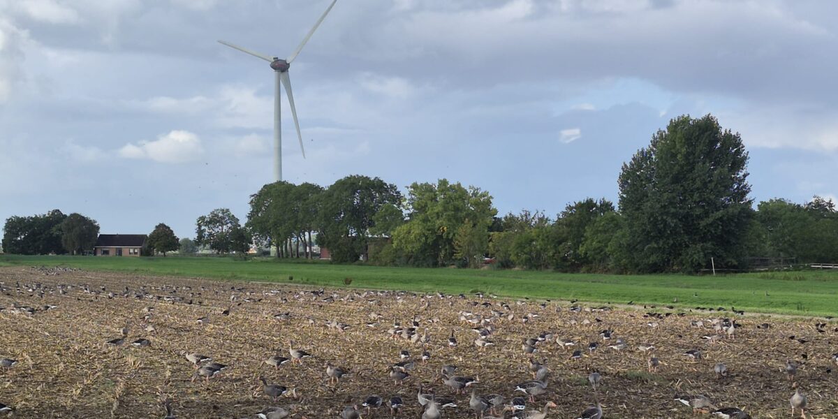 Zoeterwoude en Alphen claimen delen Barrepolder voor bedrijventerrein