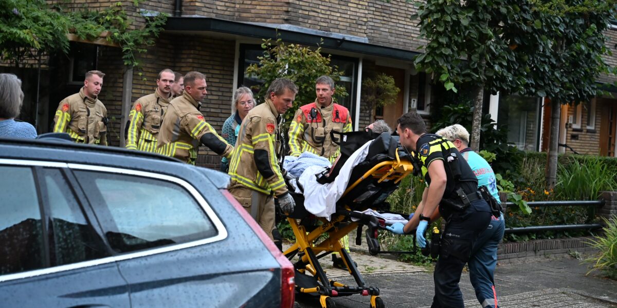 Man gewond bij weghalen wespennest