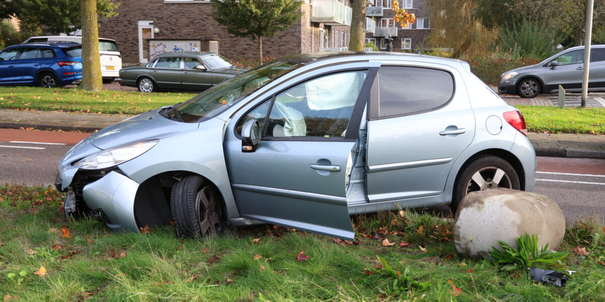 Auto botst op biggenrug